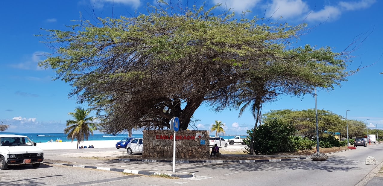 Strand Hotel MVC Eagle Beach