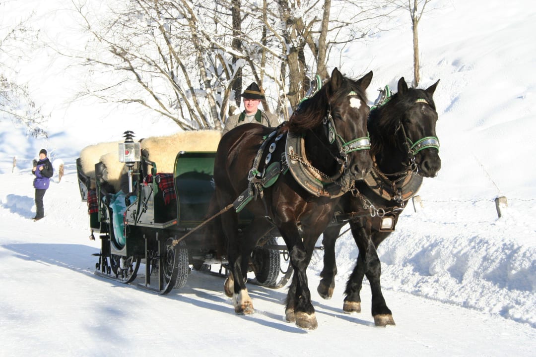 Pferdeschlittenfahrt beim Torbauer in Dorfgastein Bauernhof Torbauer