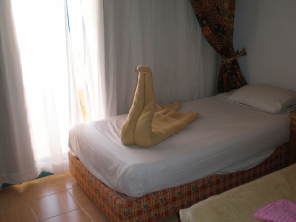 Twórczość  Pickalbatros Aqua Park Resort - Hurghada