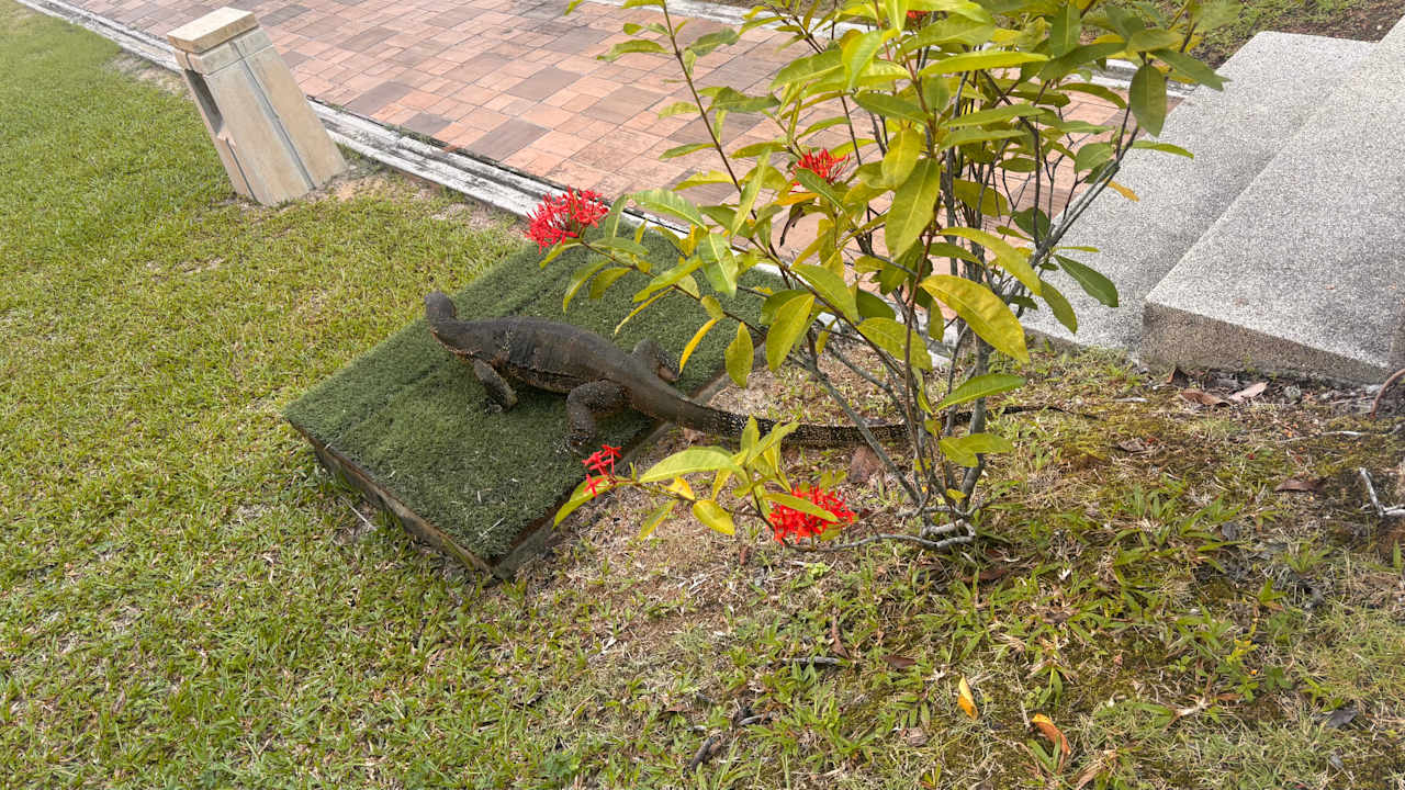 Gartenanlage Khaolak Laguna Resort