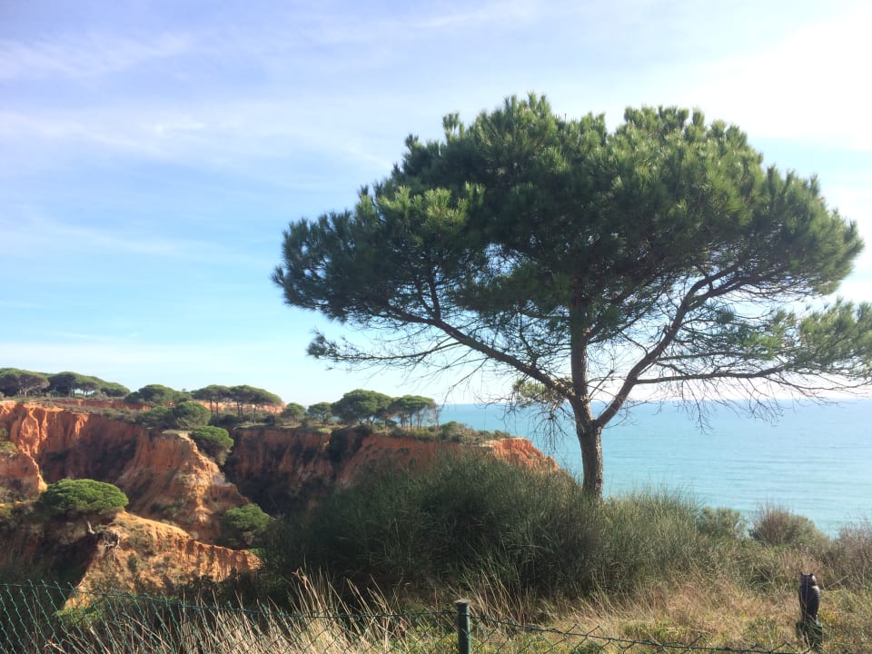 Strand PortoBay Falésia