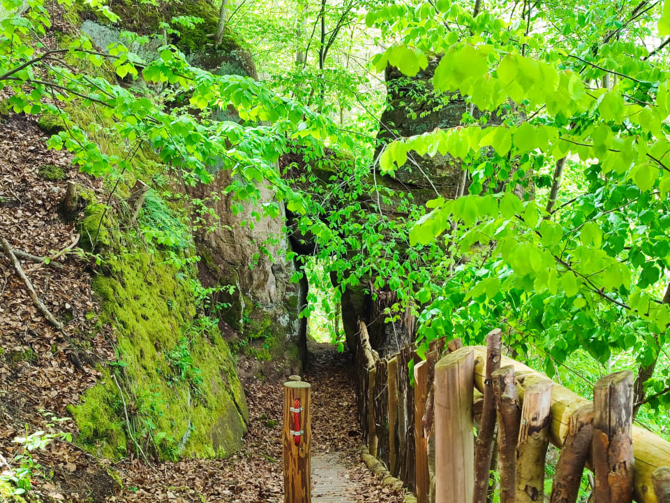 Gartenanlage Bildungs- und Ferienstätte Eichsfeld