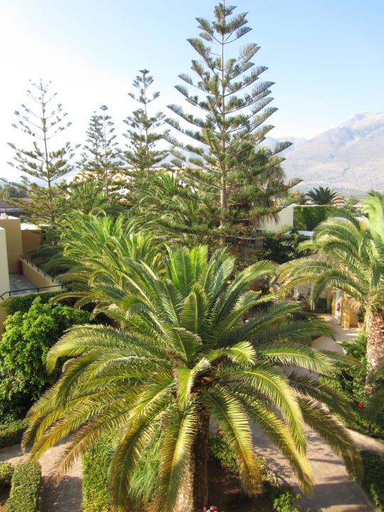 Hotelgarten Vantaris Luxury Beach Resort