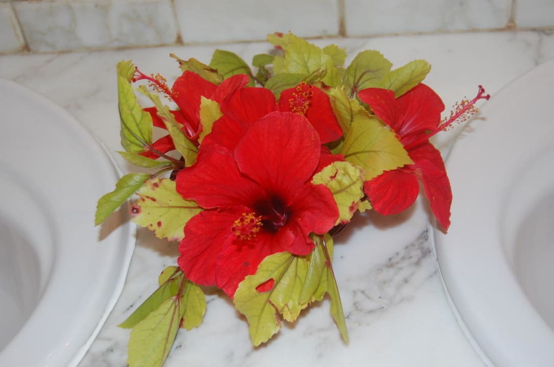 Öffentliche Toilette im Haupthaus mit  Blumen Hotel El Mouradi Djerba Menzel