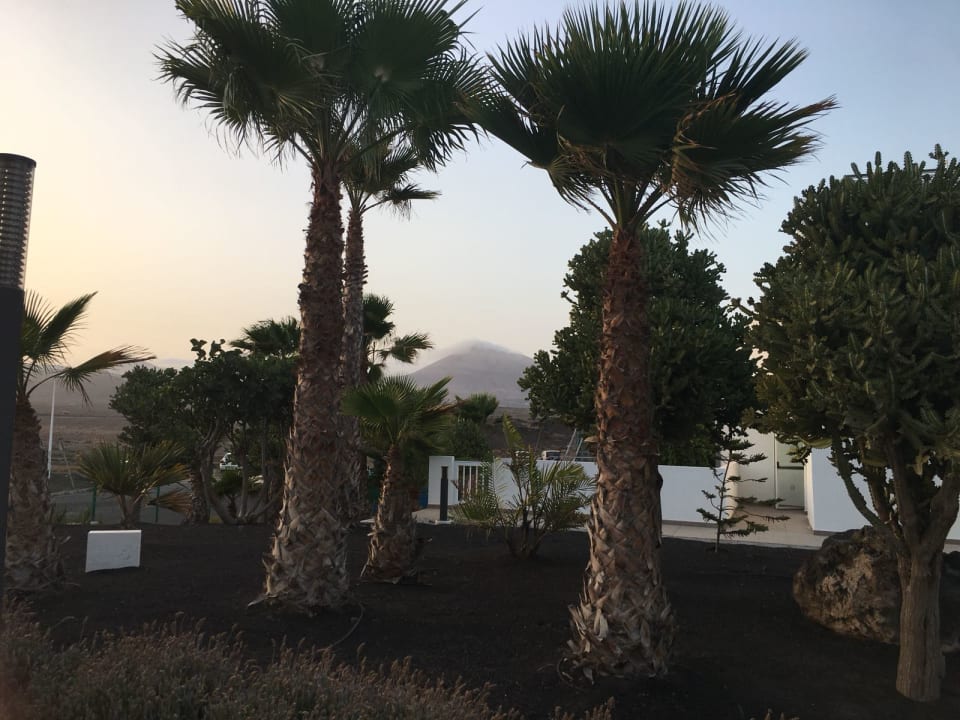 Ausblick Sentido Aequora Lanzarote Suite