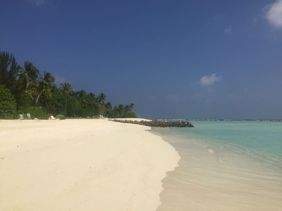 Strand Summer Island Maldives