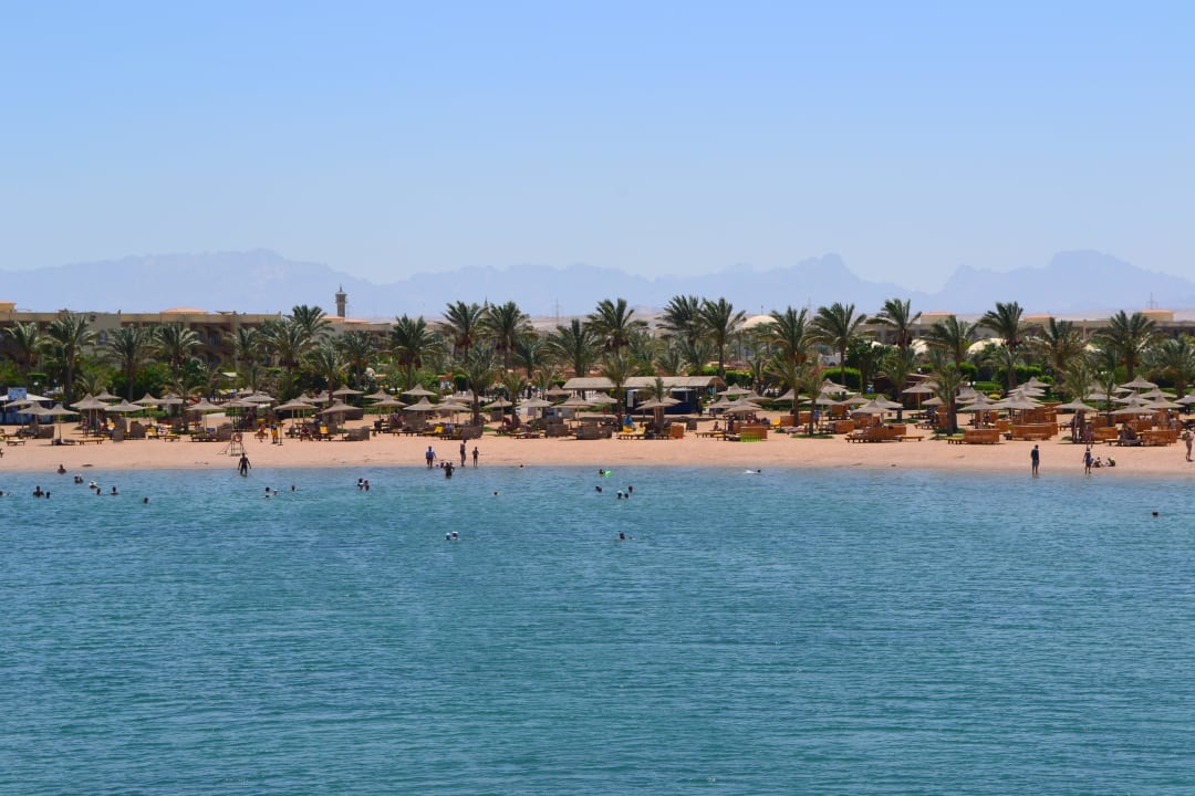 Widok z knajpki na plaży Desert Rose