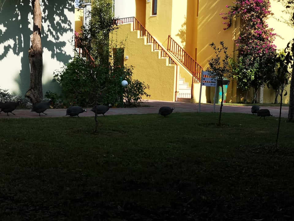 Gartenanlage VONRESORT Golden Beach