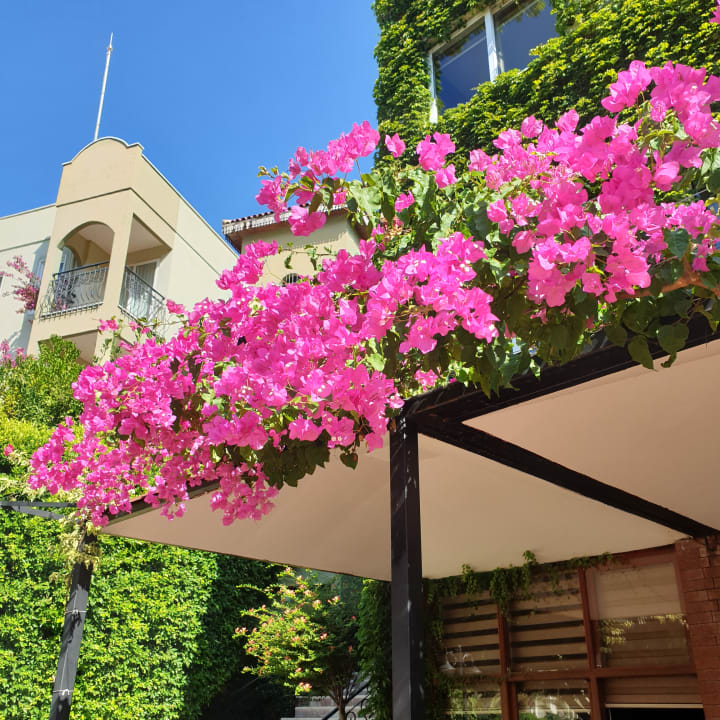 Gartenanlage Hotel Gardenia Beach
