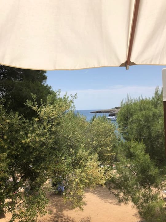 Gartenanlage ROBINSON CALA SERENA