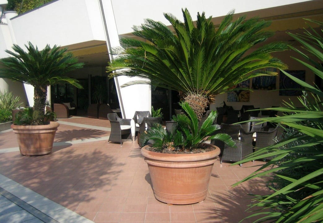 Bar Außenbereich Savoy Beach Hotel & Thermal Spa