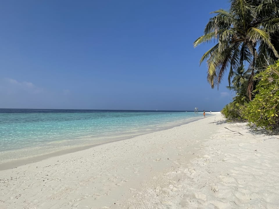 Strand Fihalhohi Maldives