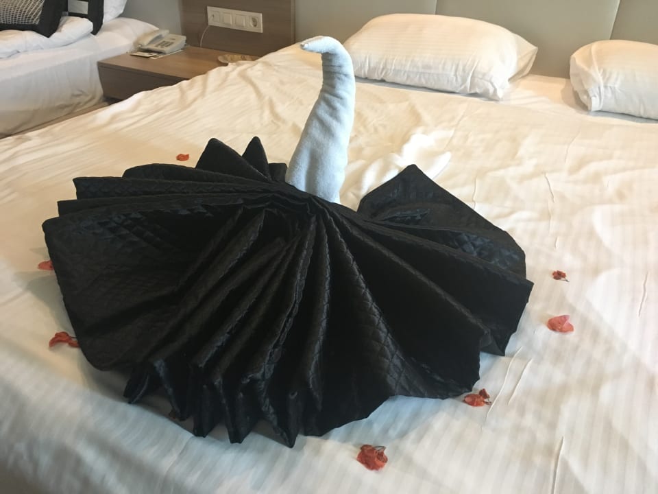 Zimmer Hotel Delphin Imperial