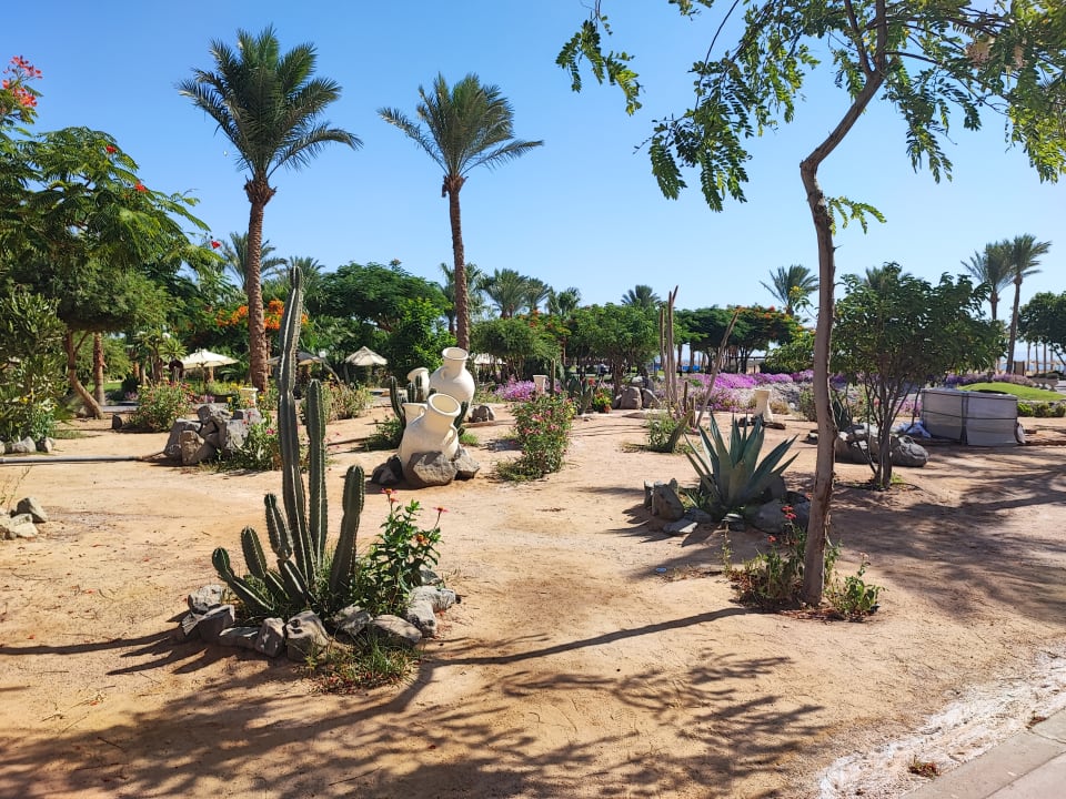 Strand Steigenberger Aqua Magic