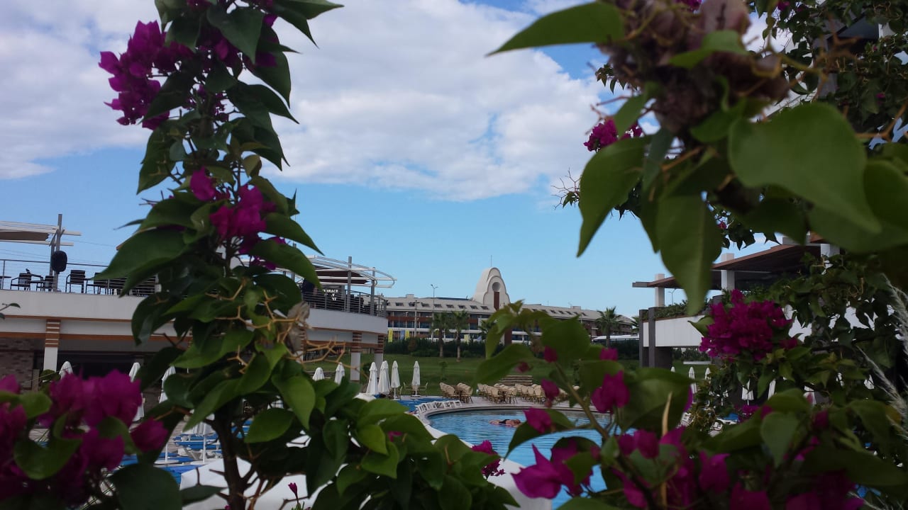 Ein schöner Ausblick Terrace Elite Resort