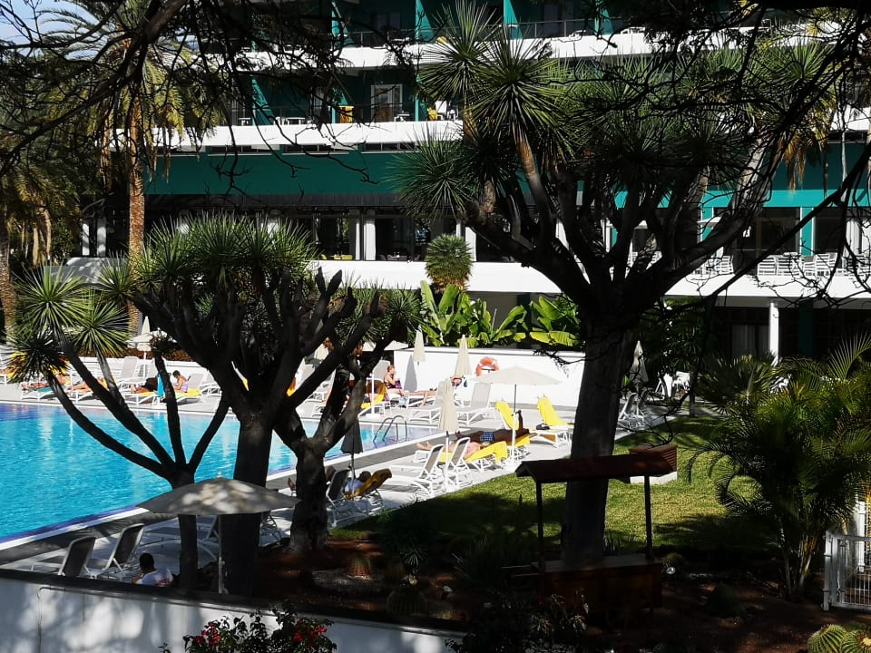 Pool TRH Taoro Garden