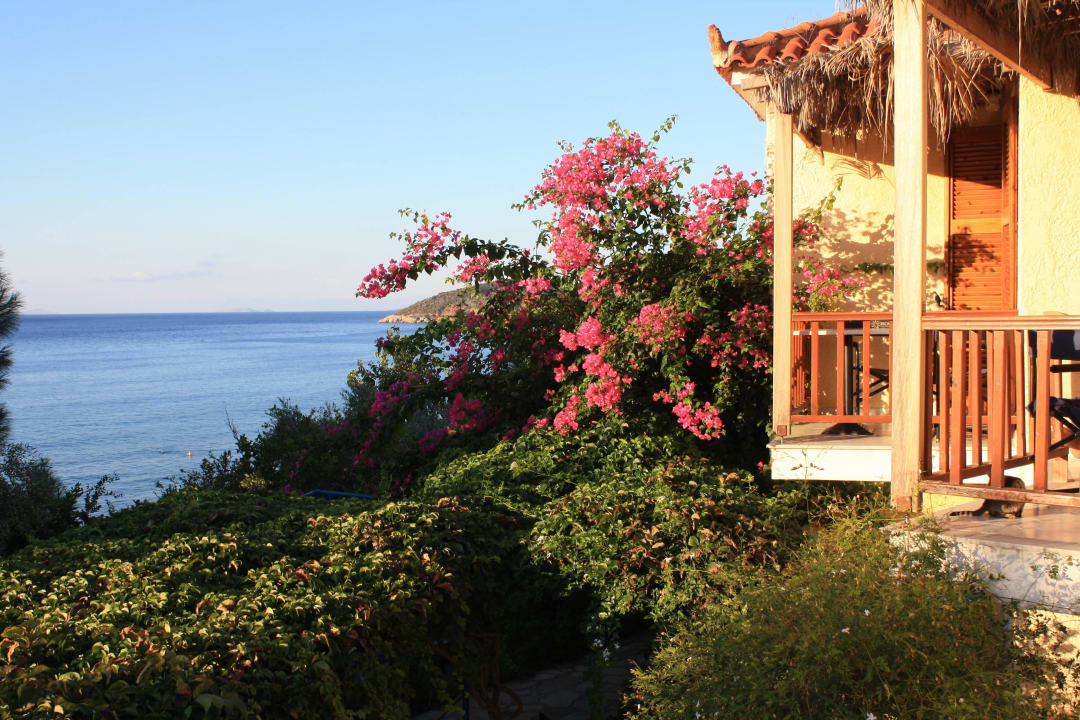 Blick vom Balkon Hotel Golden Sand