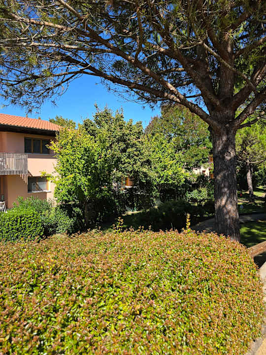 Gartenanlage Green Village Resort - Hotel & Aparthotel