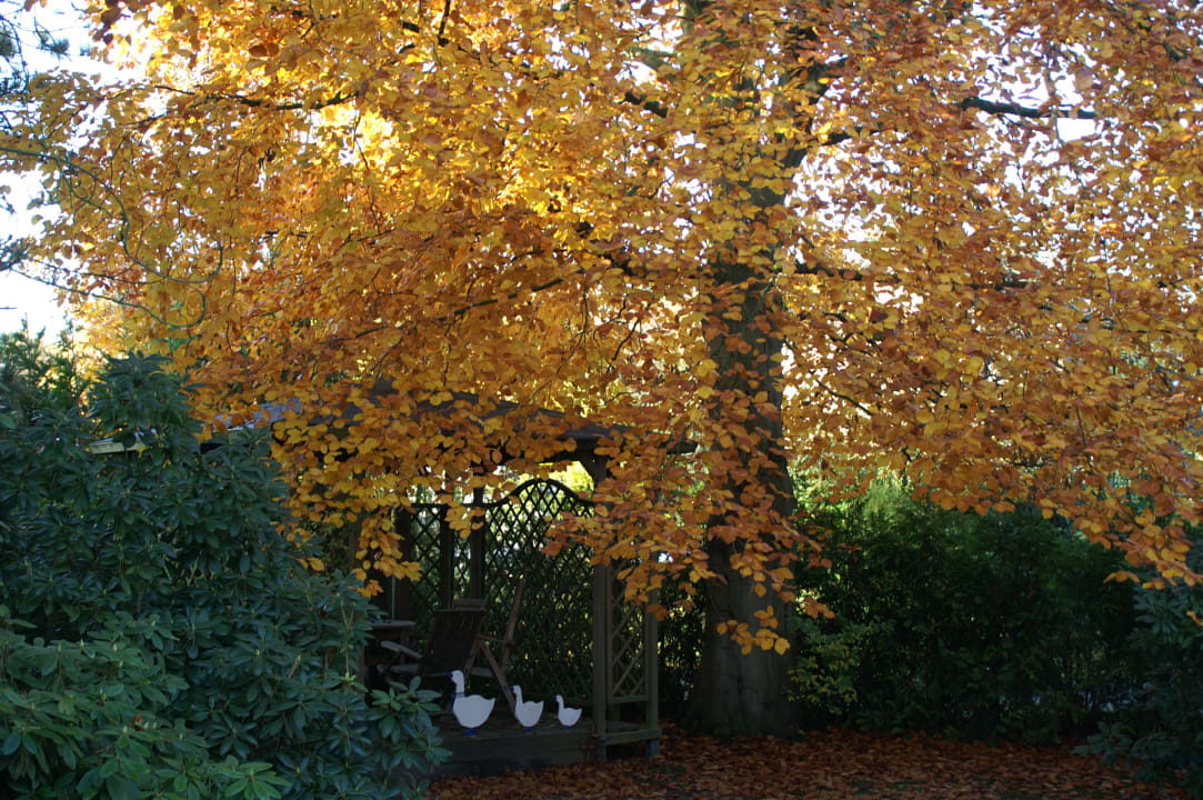 Gartenanlage Appartementhaus Wexler 1