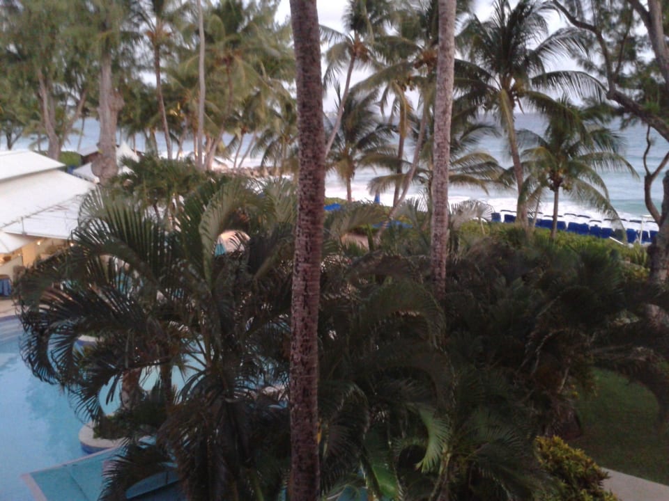 Blick vom Balkon auf den Pool Hotel Turtle Beach Resort