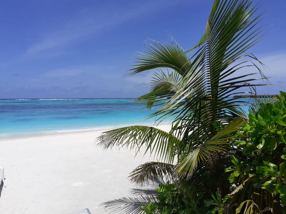 Ausblick Meeru Maldives Resort Island