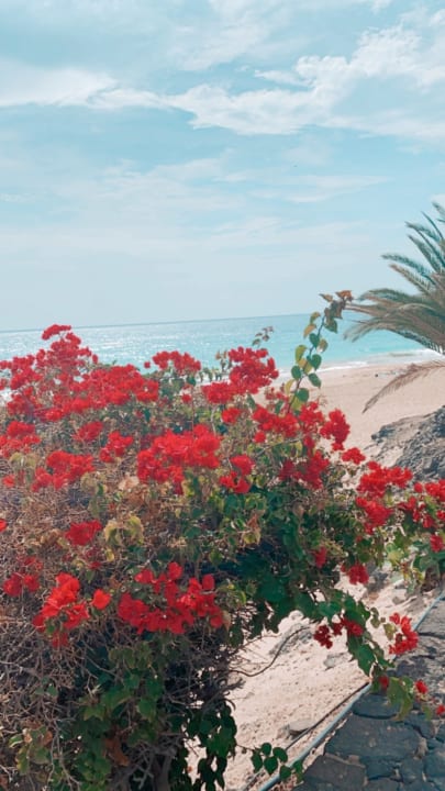 Ausblick ROBINSON JANDIA PLAYA