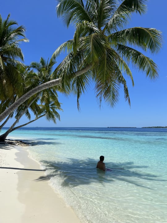 Strand Vilamendhoo Island Resort & Spa