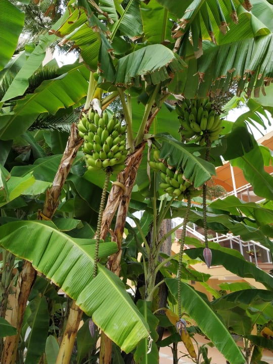 Ausblick Bahia Principe Sunlight San Felipe
