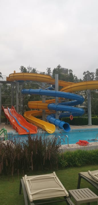 Pool Arum Barut Collection