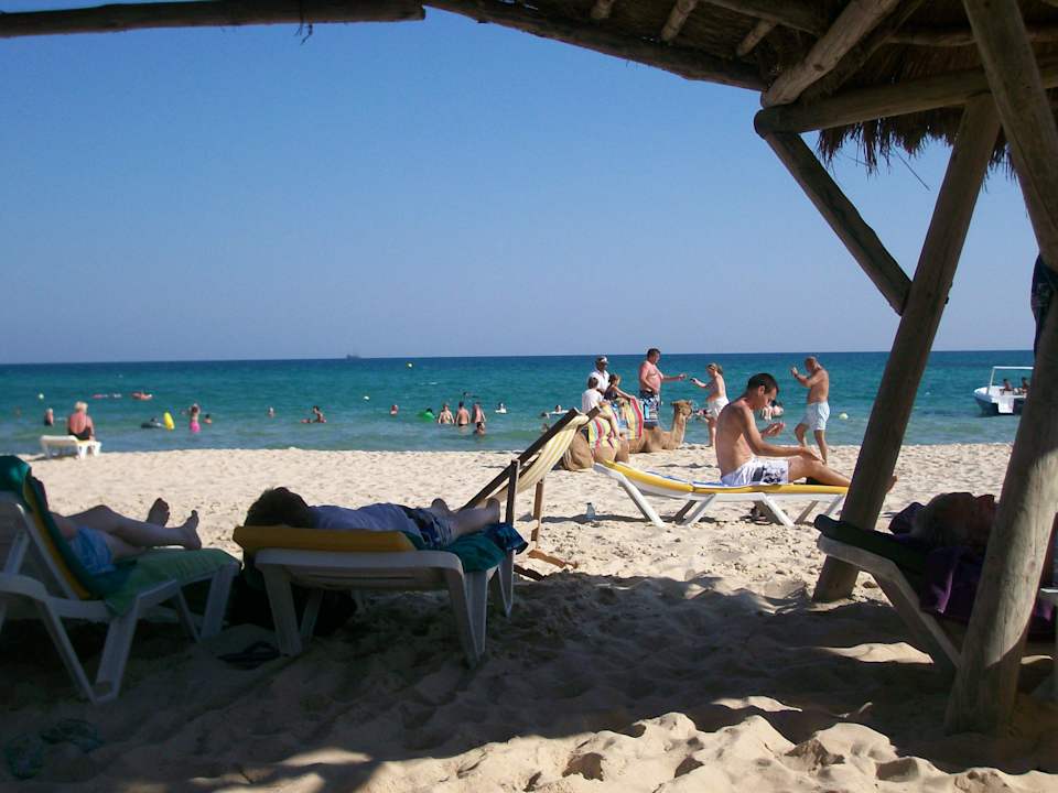 Super Liegen, Überdachung und Ausblick The Orangers Beach Resort and Bungalows