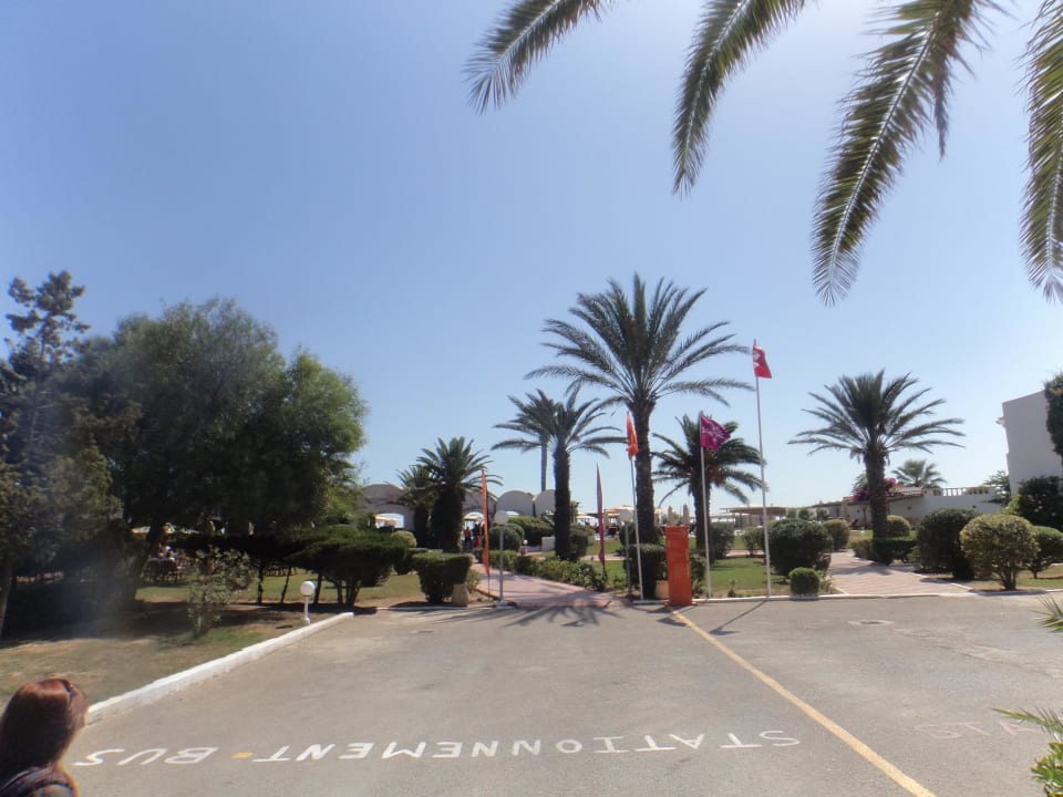 Garten  Club Salammbô Hammamet