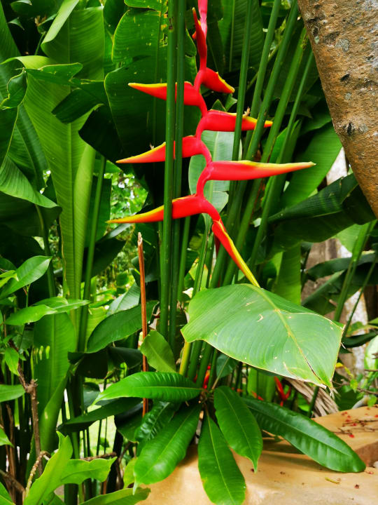 Sonstiges Hotel Rawai Palm Beach Resort