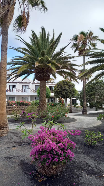 Gartenanlage allsun App.-Hotel Albatros