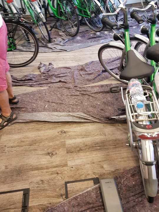 Sport & Freizeit Welcome Hotel Wesel