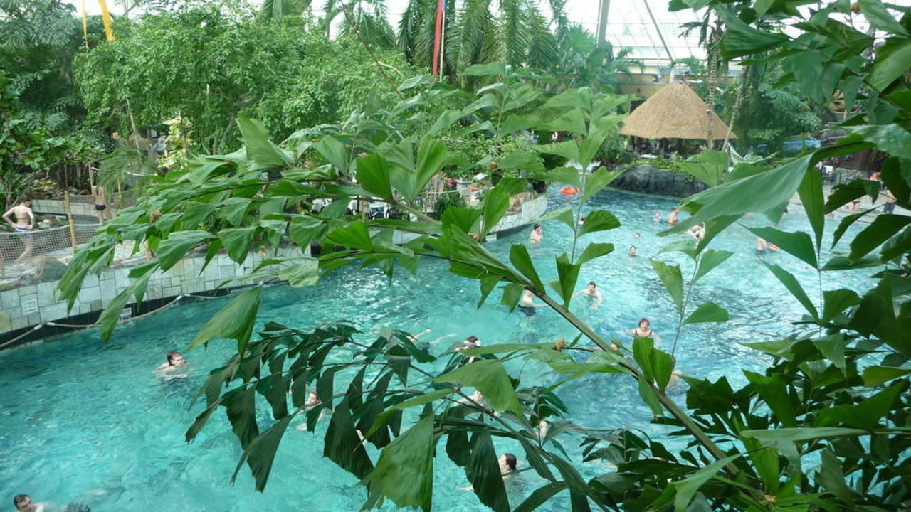 Zwembad Center Parcs De Eemhof