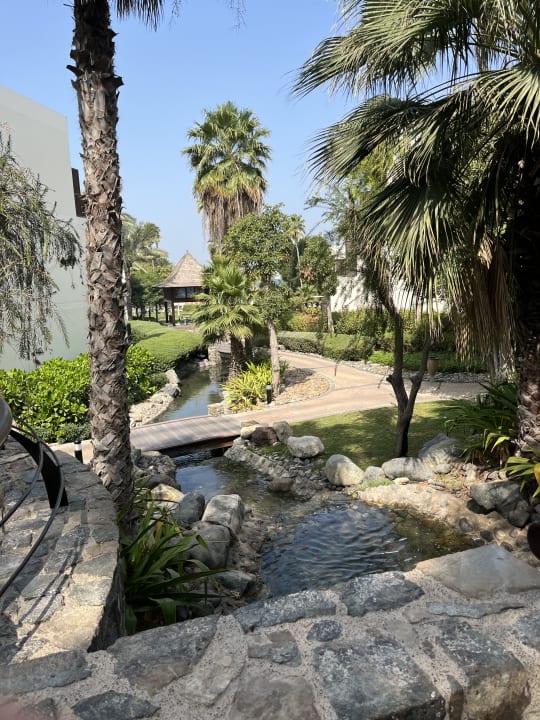 Gartenanlage JA Palm Tree Court