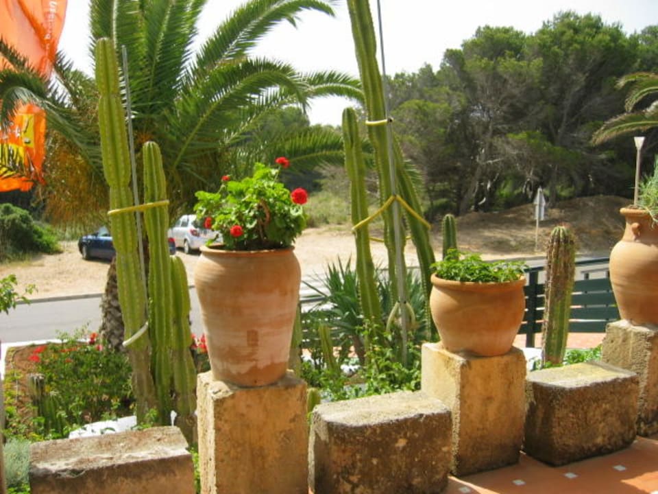 Blick vom Eingang auf die Straße Playa Parc Apartments