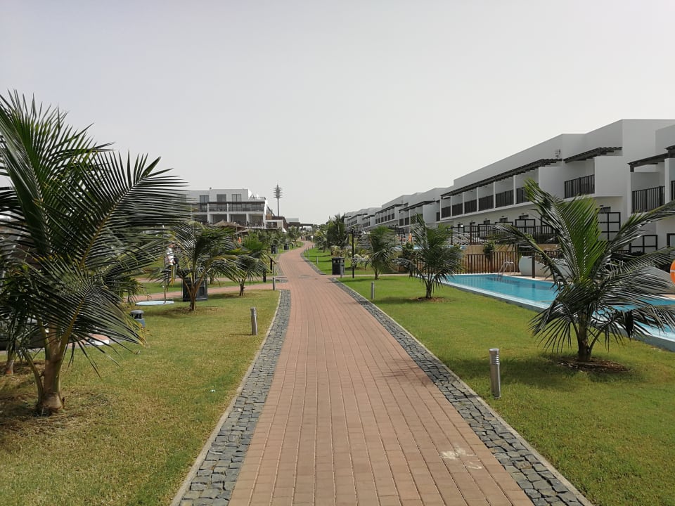 Gartenanlage Meliá Laguna Beach