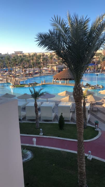 Zimmer Pickalbatros Palace Resort