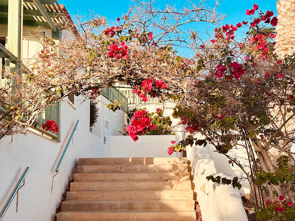 Gartenanlage Aldiana Club Fuerteventura