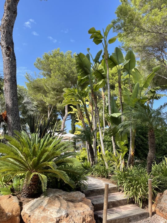 Gartenanlage Hotel Casbah Migjorn