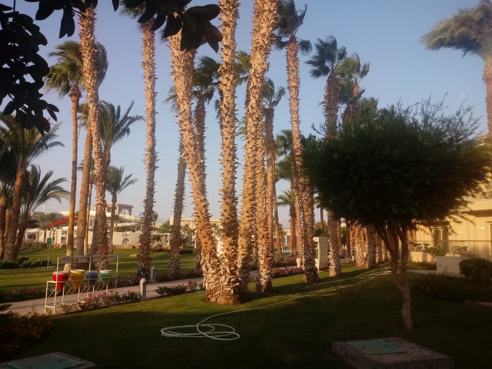 Garten Beach Albatros Resort