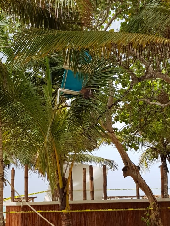 Gartenanlage Akumal Bay Beach & Wellness Resort