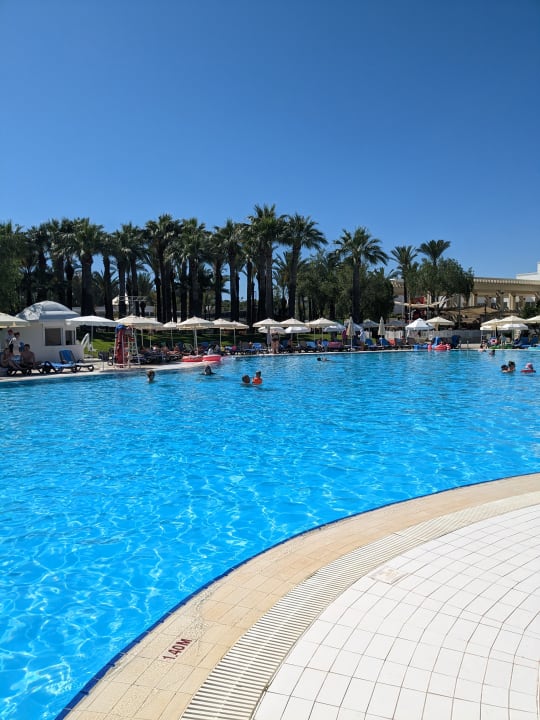 Pool Monachus Family Resort Sorgun