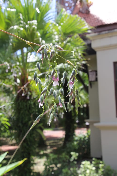 Außenansicht Khaolak Bhandari Resort & Spa