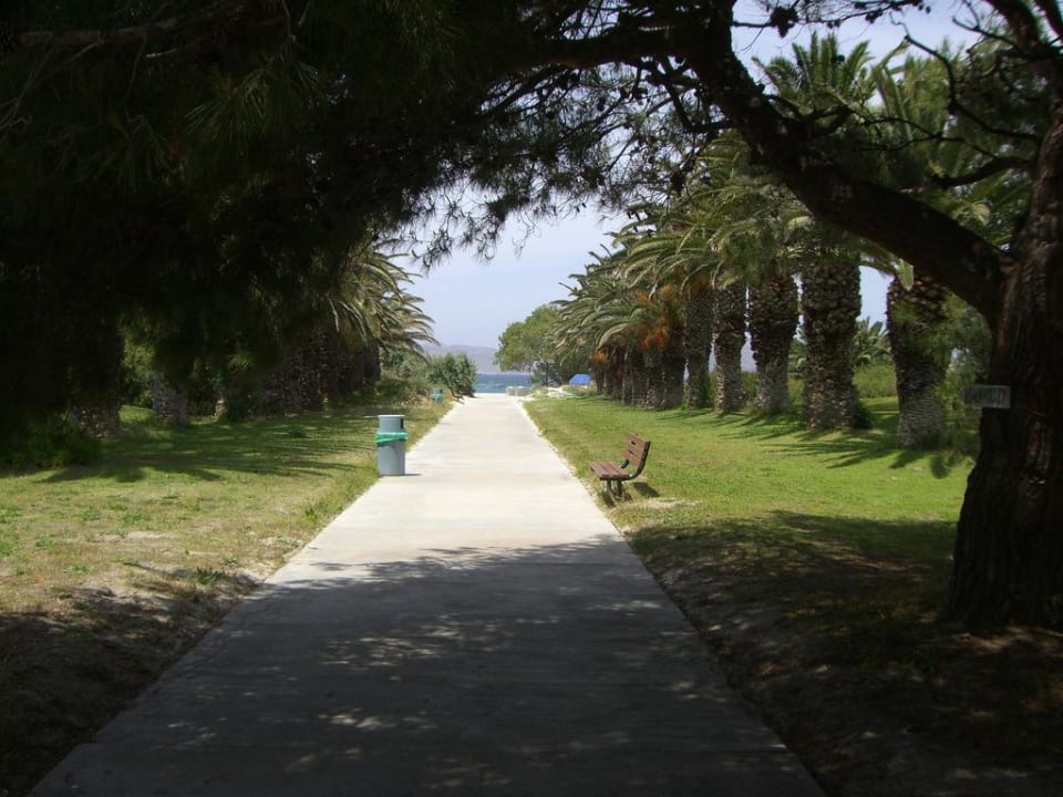 Weg zum Strand Caravia Beach Hotel