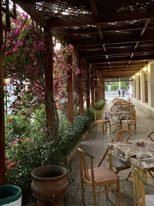 Gastro Menaville Safaga