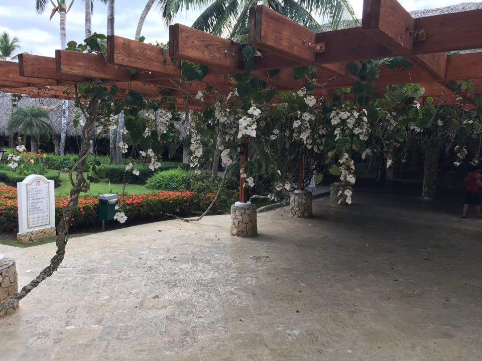 Gartenanlage Hotel Viva Dominicus Palace by Wyndham-All Inclusive Resort