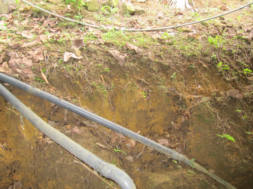 Ausblick aus meinem Zimmer Blue Magpie Lodge