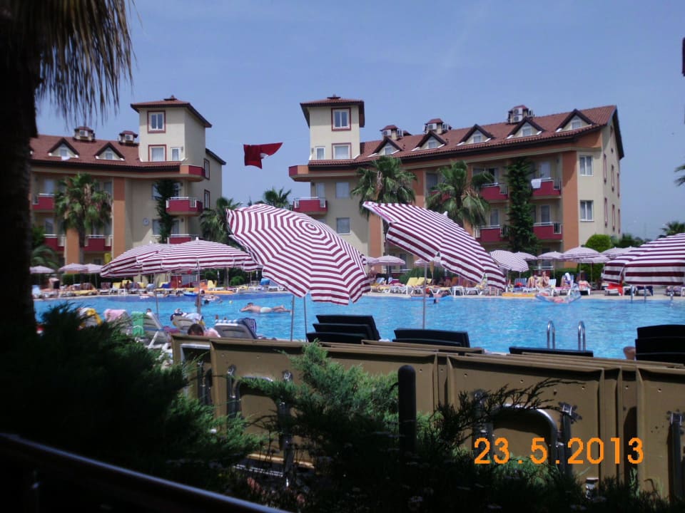 Wie im Prospekt Hotel Orfeus Park